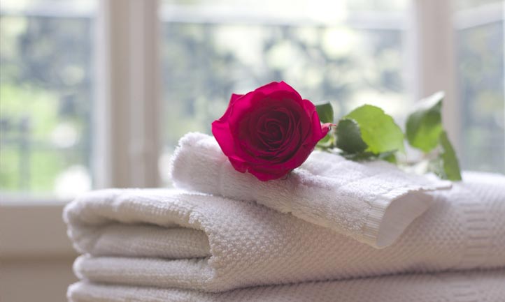 White Towels and red rose