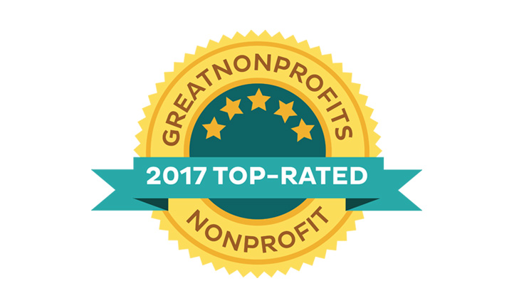 Great Non Profits 2017 Logo
