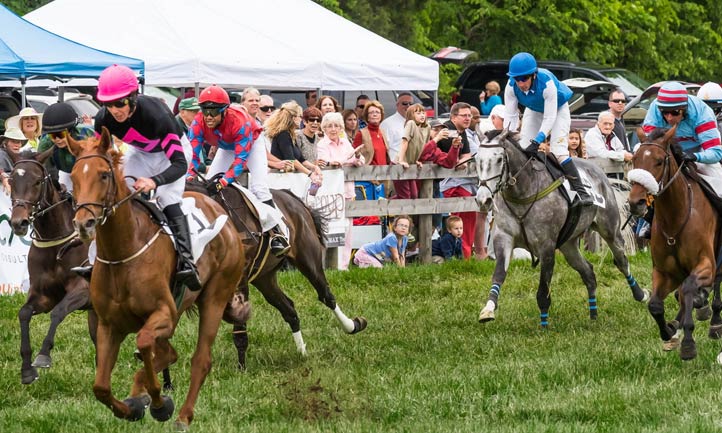 Potomac Hunt Race