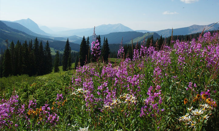 Colorado Mountains