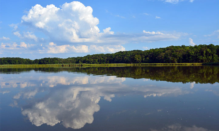 Chesapeake Bay 