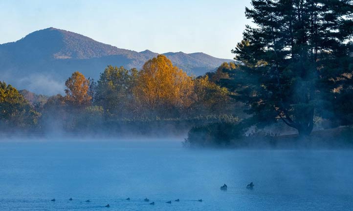 Lake and Fog