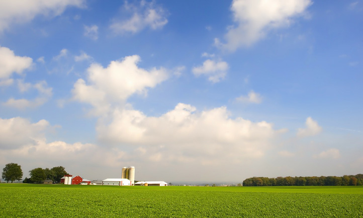 Ohio Farm