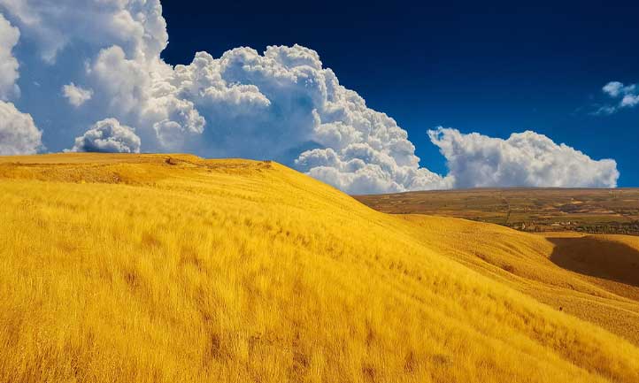 Idaho landscape