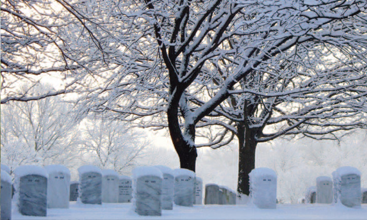 TAPS Magazine winter 2010 cover, snowy Arlington national cemetery