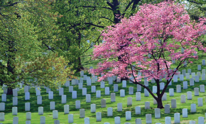 TAPS Magazine spring 2012 cover, Arlington National cemetery in the spring