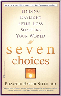 seven choices book cover