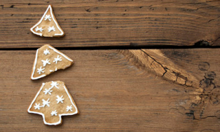 Broken gingerbread cookie