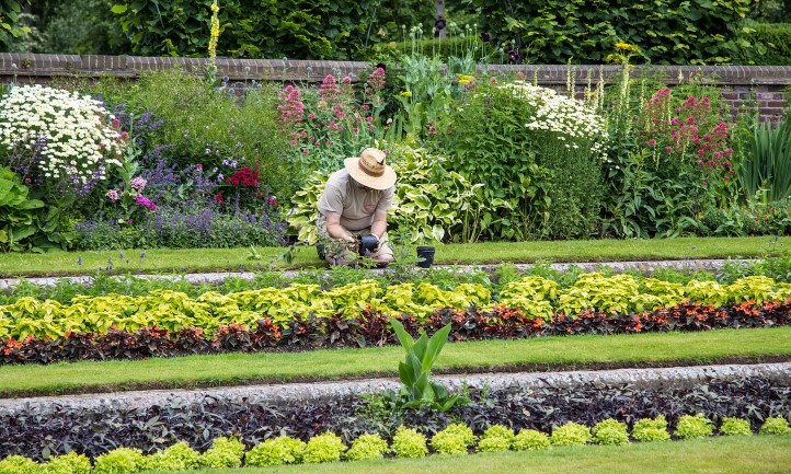 Gardening and Grief