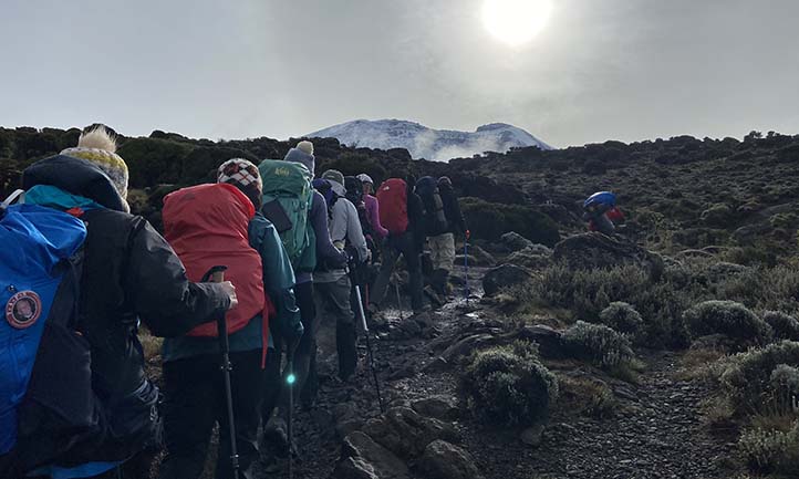 Survivors climbing Kilimanjaro