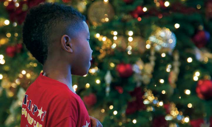 TAPS Good Grief Camp Boy looking at Christmas tree