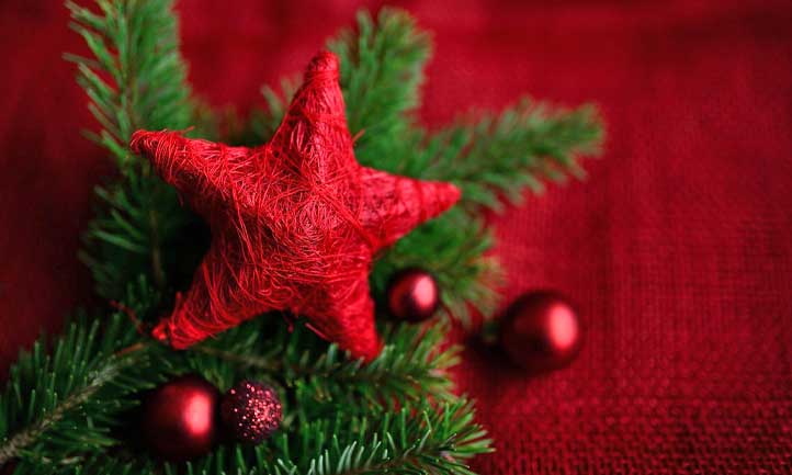 TAPS December Newsletter 2021, christmas star decoration