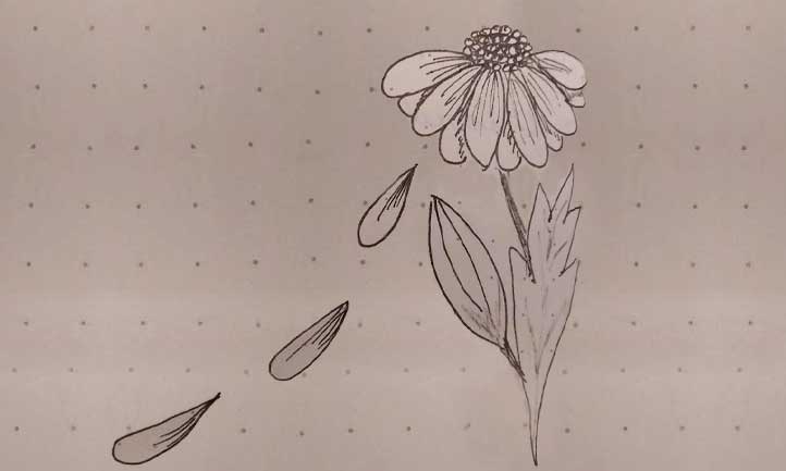 sketch of flower by Lydia