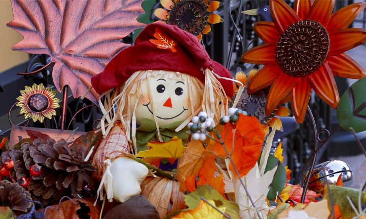 TAPS November Newsletter 2021, thanksgiving decorations