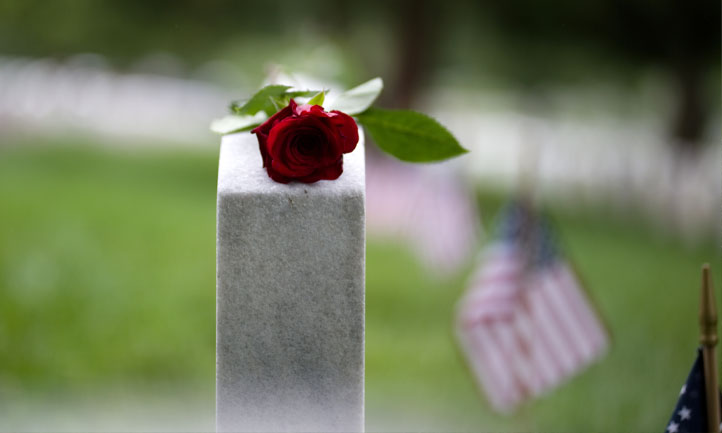 Headstone and rose