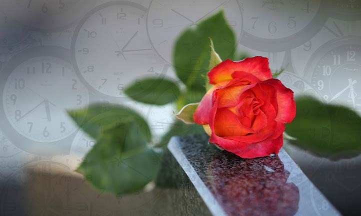 Rose on headstone