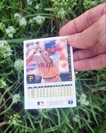 Picking up Baseball card in lawn