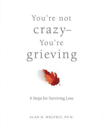 You're Not Crazy - You're Grieving Book Cover