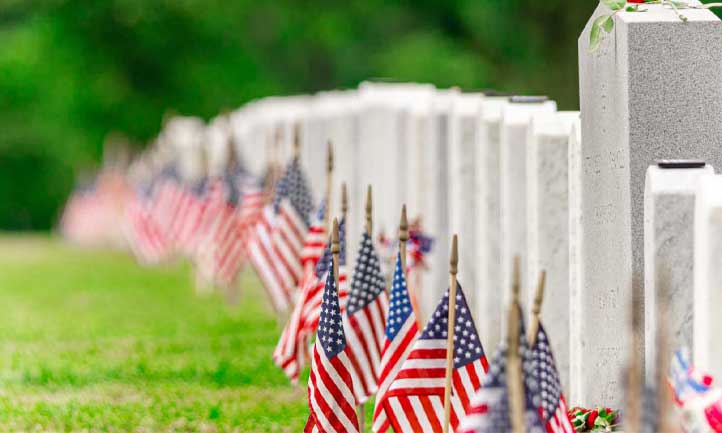 TAPS May Newsletter 2024, Flags in at Arlington Cemetery