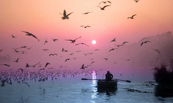 Sunset over sea, seagulls on a flight, man on boat